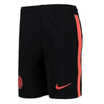 Nike - CHELSEA Saison 2021/22 Short Other Équipement de jeu, Homme