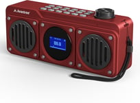 Boombyte - Portable Digital FM Radio with Bluetooth Speaker, Superb Sound, Metal