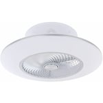 Etc-shop - Ventilateur de plafond avec lumière et télécommande plafonnier ventilateur plafonnier éclairage lampe lumière du jour, dimmable cct,