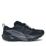 Löparskor Salomon Sense Ride 5 GORE-TEX L47147200 Svart