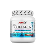 Amix - Collagen Marine Peptan Drink, Chocolate- 300 g