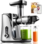 AMZCHEF Cold Press Juicer with 2 Speed Control - High Juice Yield Juicer Machines with Ultradense Filter - Masticating Slow Juicer for Whole Fruit and Vegetable - 1 Bottle and 2 Cups - Silver