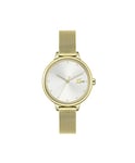 Lacoste Analogue Quartz Watch for Women with Gold Colored Stainless Steel mesh Bracelet - 2001254