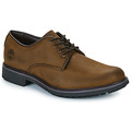 Derbies Timberland  STORMBUCKS LACE UP