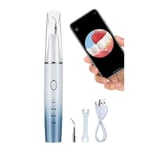 Ultrasonic Teeth Cleaner Oral Dental Scaler Calculus Tartar Remover Plaque9379