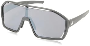 ALPINA Lunettes de soleil Bonfire unisexes, gris nuit mat, taille unique