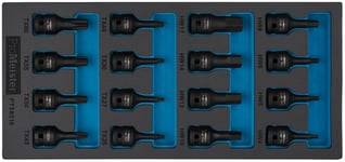 Hylssats 1/2" Kraft Insex/Torx 16-Delar ProMeister