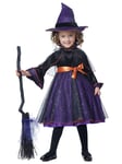 Hocus Pocus Storybook Witch Wicked Sorceress Book Week Toddler Girls Costume