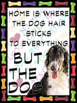 SHAWPRINT Borzoi Dog Fridge Magnet 100mm x 75mm HOME IS WHERE THE DOG HAIR STICKS TO EVERYTHING BUT THE DOG Novelty Gift