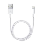 Cable pour chargeur USB iPhone 6