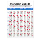 Practical Mandolin Chord Chart Fretboard Notes Coated Paper For Beginners Ad LVE