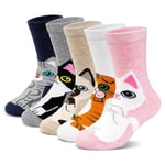 PUTUO Chaussettes Fille Enfant en Coton: Socquettes Filles Chaussette Chat Courte Fantaisie Animaux pour Enfant Taille 35-38 Chat 5 paires