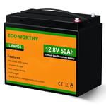 ECO-WORTHY LiFePO4 Batterie 12 V 50 Ah avec Protection BMS et 3000 Cycles, Batterie au Lithium 12 V pour Camping-Car, kit Panneau Solaire, Camping, Installation Solaire, Bateau, Maison