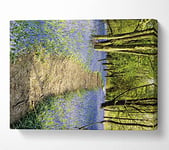 Bluebell Path Canvas Print Wall Art - Double XL 40 x 56 Inches