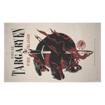 Decorsome x Game of Thrones Targaryen Woven Rug - Small