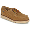 Chaussures bateau Sebago  ASKOOFIELD SUEDE