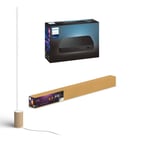 Philips Hue - HDMI Sync Box & Signe Floor Lamp Bundle