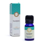 Eucalyptus Essential Oil