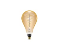 WiZ - Pære Smart TW Amb. 6W 390lm 2000-5000K Edison Globe Giant Gold E27