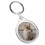 1 x Brown Rabbit Bunny Big Ears - Keyring IR02 Mum Dad Kids Birthday Gift #8390