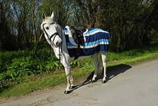 Rhinegold Fleece 3/4 Ride-On Rug