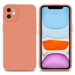 Coque pour Apple iPhone 12 en FLUID ORANGE CLAIR Housse de protection Étui en silicone TPU flexible - Neuf