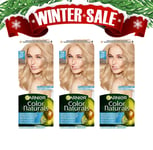 Garnier Color Naturals 110 Extra Light Natural Blonde Hair Color 3-Pack