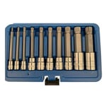 Tlily - 10-Pack Triple Spline Driver Socket Set 1/4 Pouces 3/8 1/2 Inviolable Long Reach Machine Repair Auto Tools