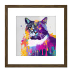 Abstract Cat Vibrant Iridescent Colour Spray Drip Painting Square Wooden Framed Wall Art Print Picture 8X8 Inch