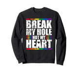 Break My Hole Not My Heart Funny Gay idea Sweatshirt