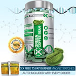 GREEN COFFEE BEAN EXTRACT - STRONGEST LEGAL SLIMMING /DIET & WEIGHT LOSS PILLS