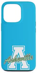 iPhone 13 Pro Retro Asheville Land of the Sky Case