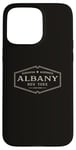 iPhone 15 Pro Max Albany New York | Historic Albany NY Case