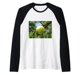 Really Like Amla Fruit Indian Gooseberry Raglan Baseball Tee