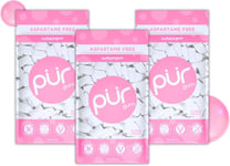 PUR 100% Xylitol Chewing Gum Sugarless Bubblegum Sugar 55 Count (Pack of 3)