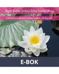 Inget hokus pokus bara vanlig magi, E-bok