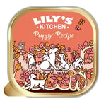 Lily's Kitchen Natural Puppy Dog Food Wet Trays - Puppy Recipe with Chicken - Complete Meal Recipes (12 Trays x 150g)