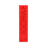 Teinture permanente Schwarzkopf Igora Royal Nº 6.23 [60 ml]