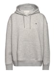 Rel Shield Hoodie Tops Sweat-shirts & Hoodies Hoodies Grey GANT