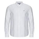 Chemise Tommy Jeans  TJM REG OXFORD STRIPE SHIRT