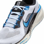 Nike Pegasus 41 Herre