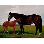 Artery8 After Henry Stull Nevada With Foal 1881 Unframed Wall Art Print Poster Home Decor Premium