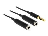 Delock 65575 Audiokaapeli 0,25 M 3.5mm 2 X 3.5mm Musta 0.25m 3.5mm 2 X 3.5mm