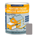 Peinture façade Procom crépi, façade à relief, imperméabilisation et protection des façades - Durable jusqu'à 10 ans Gris taupe (ral 7036) 2.5 litres