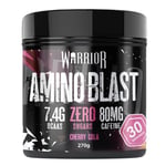 Warrior Amino Blast 270g – BCAA Powder – Branched Chain Amino Acids Supplement, Intra Workout & Recovery, Energy Drink – 30 Servings (Cherry Cola)