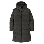 Patagonia Jackson Glacier Parka Dam