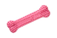 Tuggleksak Nylabone Puppy Teething Dental Chew Rosa XS