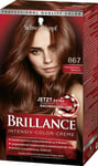 Schwarzkopf Brillance Intensiv-Color-Creme 867 Brun-Acajou Niveau 3