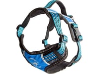 All For Dogs All For Dogs Harnesses 2X-Sport Blue. S.