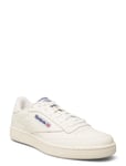 Reebok Classics Club C 85 Vit